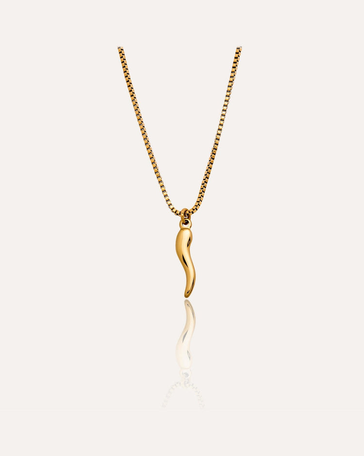 Cornicello Necklace by MATCHIN